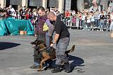 ARRESTATION POLICE 020